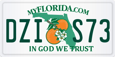 FL license plate DZIS73