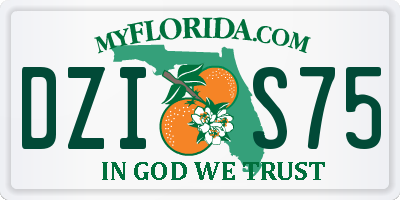 FL license plate DZIS75