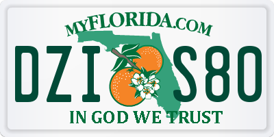 FL license plate DZIS80
