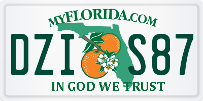 FL license plate DZIS87