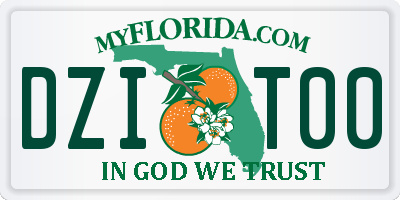 FL license plate DZIT00