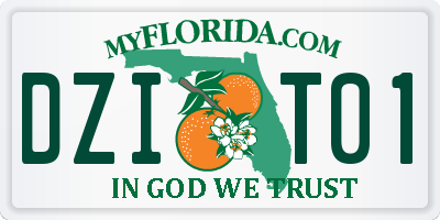FL license plate DZIT01