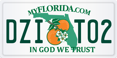 FL license plate DZIT02
