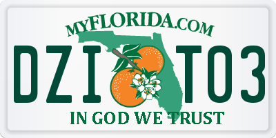 FL license plate DZIT03