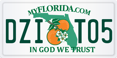 FL license plate DZIT05