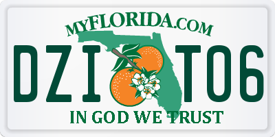 FL license plate DZIT06
