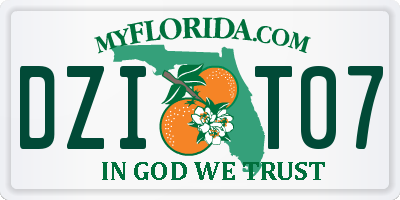 FL license plate DZIT07