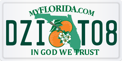 FL license plate DZIT08
