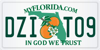 FL license plate DZIT09