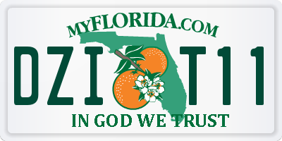 FL license plate DZIT11