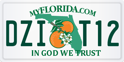 FL license plate DZIT12
