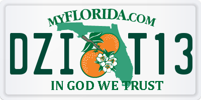 FL license plate DZIT13