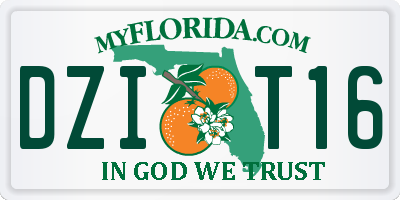 FL license plate DZIT16