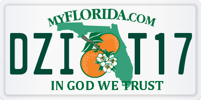 FL license plate DZIT17