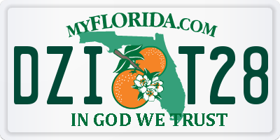 FL license plate DZIT28