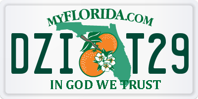 FL license plate DZIT29
