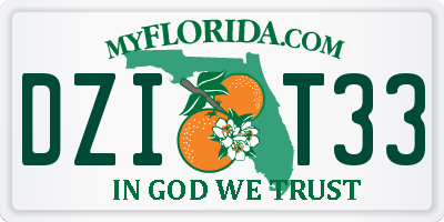 FL license plate DZIT33