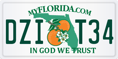 FL license plate DZIT34