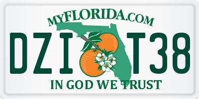 FL license plate DZIT38