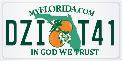 FL license plate DZIT41