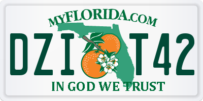 FL license plate DZIT42