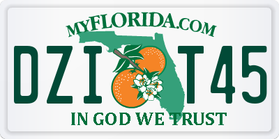 FL license plate DZIT45