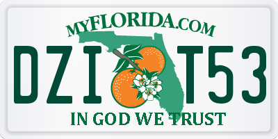 FL license plate DZIT53