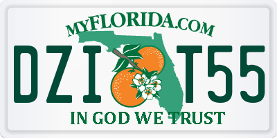 FL license plate DZIT55