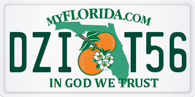 FL license plate DZIT56