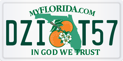 FL license plate DZIT57
