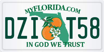 FL license plate DZIT58
