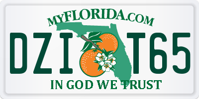 FL license plate DZIT65