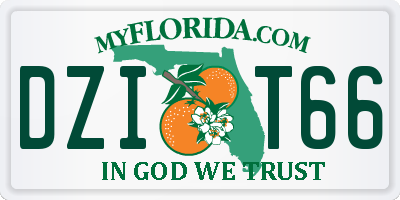 FL license plate DZIT66