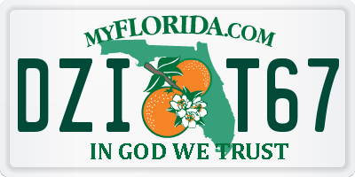 FL license plate DZIT67