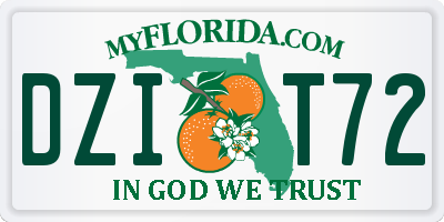 FL license plate DZIT72