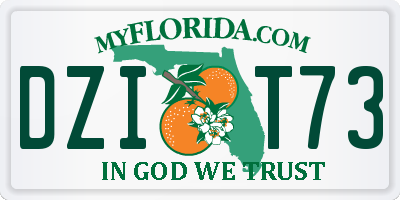 FL license plate DZIT73