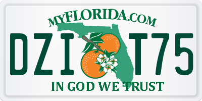 FL license plate DZIT75