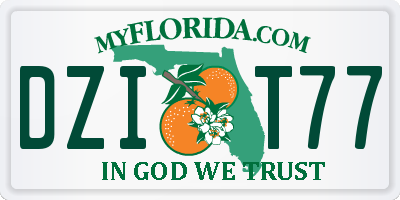 FL license plate DZIT77