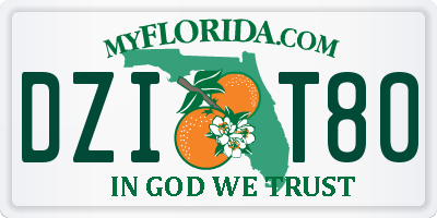 FL license plate DZIT80