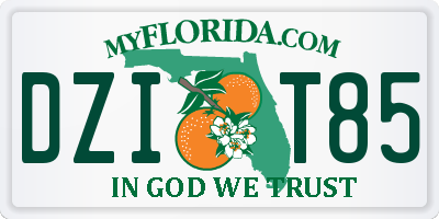FL license plate DZIT85