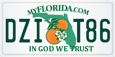 FL license plate DZIT86