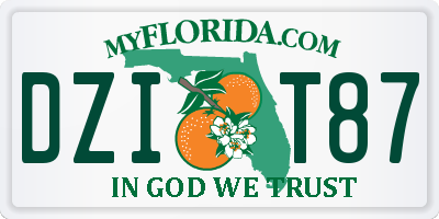 FL license plate DZIT87
