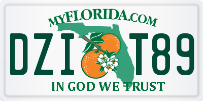 FL license plate DZIT89
