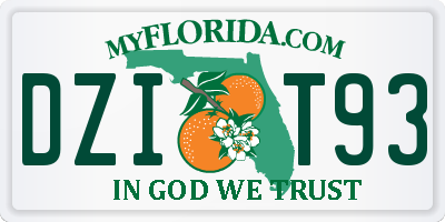FL license plate DZIT93