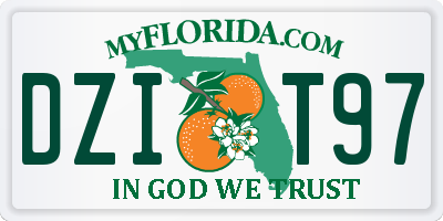 FL license plate DZIT97