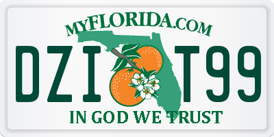 FL license plate DZIT99