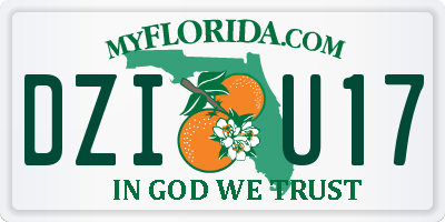 FL license plate DZIU17