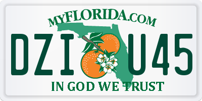 FL license plate DZIU45