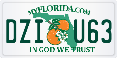 FL license plate DZIU63