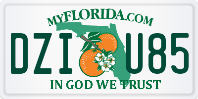 FL license plate DZIU85